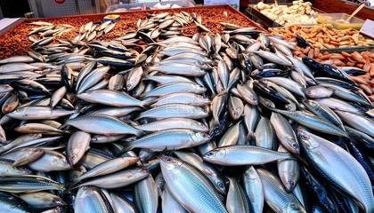 淡水水產(chǎn)品種類(lèi)概覽