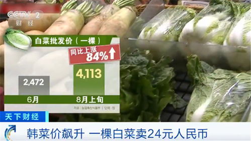 韓國(guó)民眾叫苦不迭 菜價(jià)水產(chǎn)品價(jià)格一路飆升，生活壓力陡增