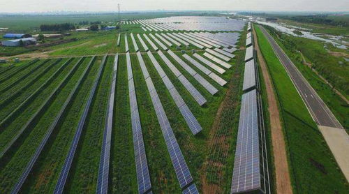 高考地理高頻考點 農作物種植方式與特色農業解析