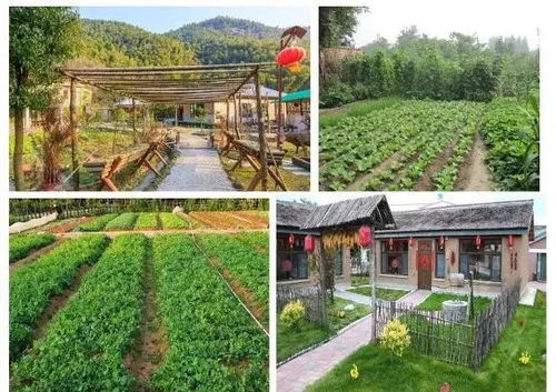 農(nóng)業(yè)經(jīng)營(yíng)中的商標(biāo)注冊(cè)與農(nóng)業(yè)技術(shù)開(kāi)發(fā)策略