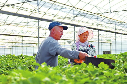 科技賦能農業 技術開發驅動產業新變革