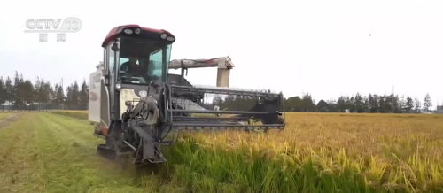 新技術助力現代循環農業高質量發展 種糧三變，田地里長出希望