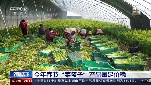 農業技術開發助力菜籃子產品量足價穩，農業農村部力保春節供應