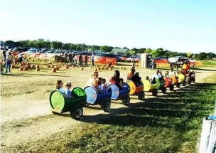 親子農業的運營模式創新與農業技術開發路徑探討