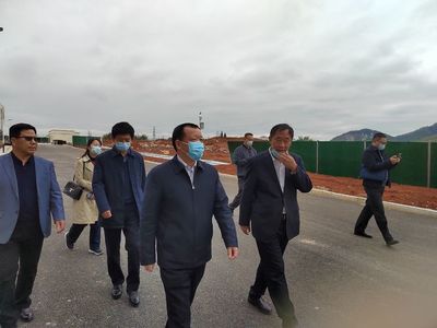 省農業廳深入陽新調研春耕備耕與特色產業發展，推動農業技術開發