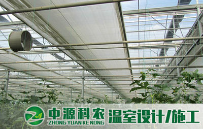 偃師無土栽培專業(yè)公司 引領(lǐng)農(nóng)業(yè)技術(shù)開發(fā)新方向