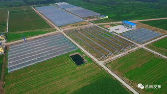 莒南縣三向發(fā)力加快推動農(nóng)業(yè)技術(shù)開發(fā)與轉(zhuǎn)型升級