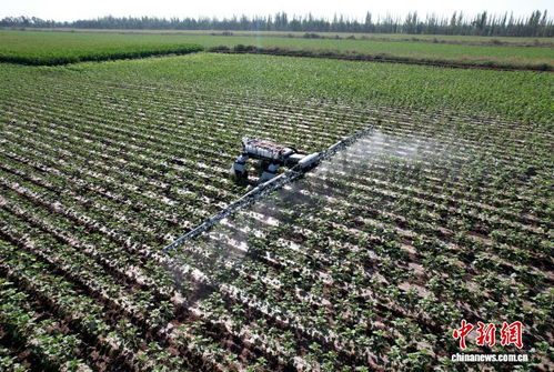 新疆兵團 新型機器人賦能農(nóng)業(yè)發(fā)展，科技引領(lǐng)農(nóng)業(yè)技術(shù)開發(fā)