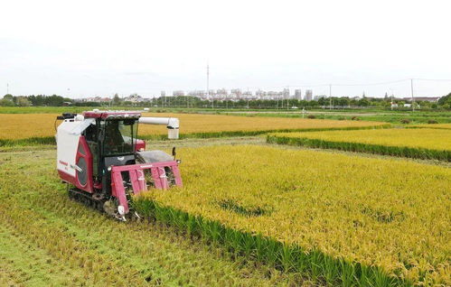 主播說聯(lián)播丨科技加持，讓農(nóng)業(yè)發(fā)展更有“機(jī)”遇