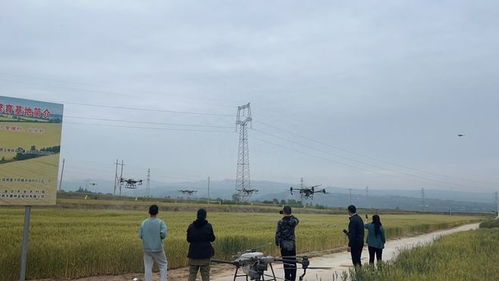 高質(zhì)高效農(nóng)產(chǎn)品綠色集成技術(shù) 驅(qū)動(dòng)銅川市特色現(xiàn)代農(nóng)業(yè)高質(zhì)量發(fā)展的核心引擎