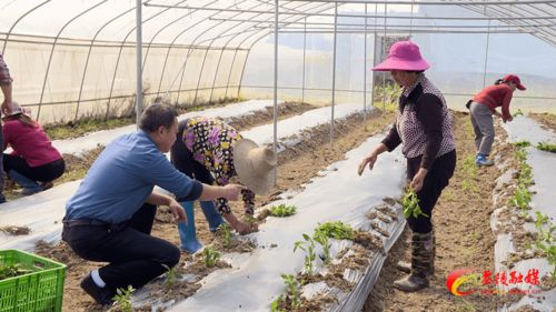 科技下鄉(xiāng)，精準(zhǔn)賦能 農(nóng)業(yè)技術(shù)開發(fā)引領(lǐng)產(chǎn)業(yè)新變革