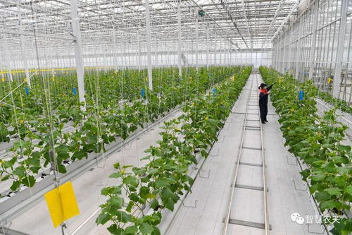 智慧農(nóng)業(yè) 趙春江院士談現(xiàn)狀與未來技術(shù)開發(fā)方向