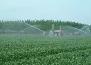 國家灌溉農(nóng)業(yè)綠色發(fā)展聯(lián)盟成立 技術(shù)開發(fā)引領(lǐng)農(nóng)業(yè)可持續(xù)轉(zhuǎn)型