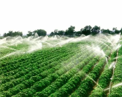 科技賦能，沃野新章 農(nóng)業(yè)科技化與技術(shù)開發(fā)的融合創(chuàng)新