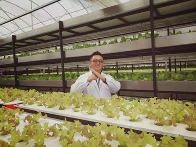 南軟星光 | 曼哈都市田園 科技賦能，打造高營養放心蔬菜的綠色革命