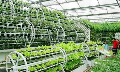 打造休閑農業項目的10大經驗總結，讓農莊越來越火！