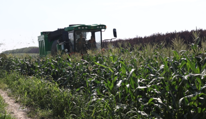 哈爾濱市平房鎮 “三鏈”繪就鄉村振興新圖景，農業技術開發譜寫“十四五”收官年田野新答卷