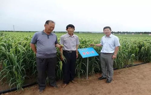 以民為本，以食為天，以安為先——蒙清農業的科技興農之路