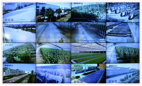 數字農業 技術賦能下的農業新生態