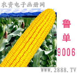 河南原陽航信農業科技開發推廣中心 驅動農業技術創新的引擎